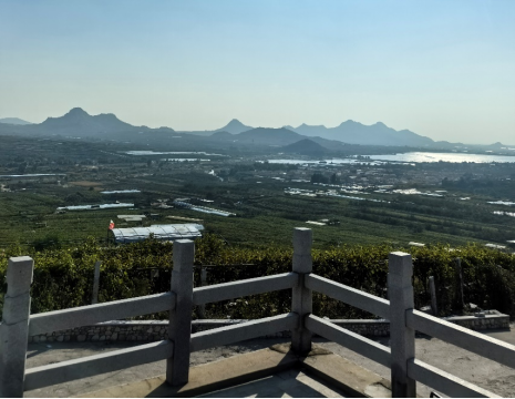 http://m.hyhtrans.com平度大澤山葡萄園引進(jìn)萊恩德土壤肥料檢測(cè)儀， 輕松掌握土壤營(yíng)養(yǎng)
